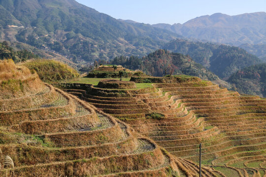 龙脊梯田大瑶寨