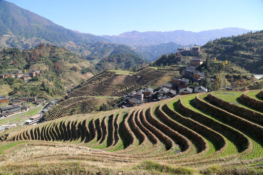 龙脊梯田金坑大寨