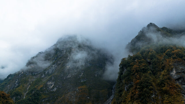 高山云雾