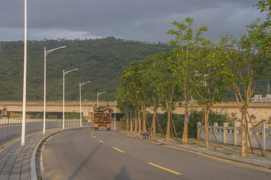 乡村公路风光