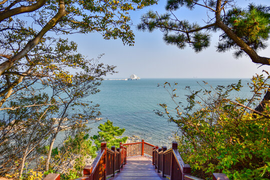 海岸栈道自然风光