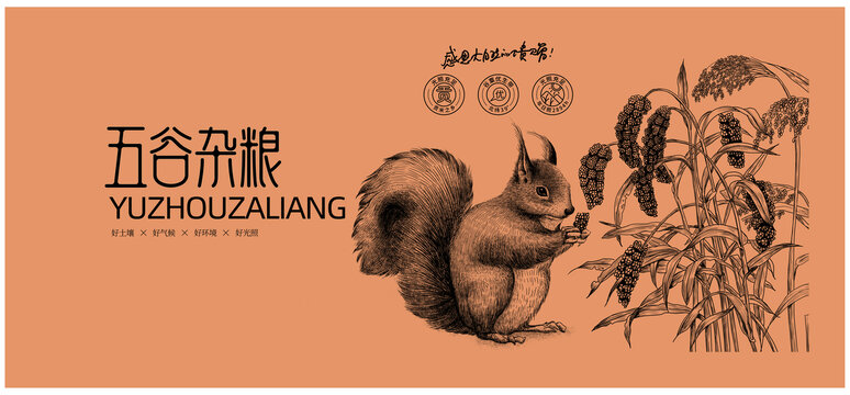 五谷雜糧