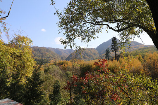 麦积山风景