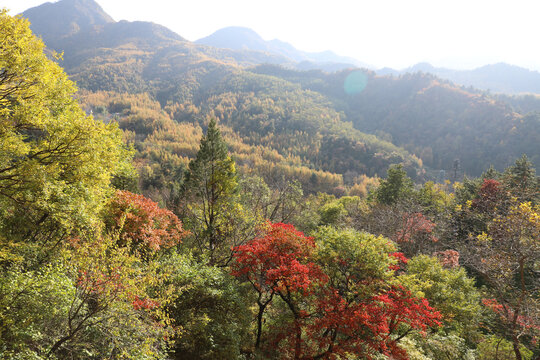 麦积山风景