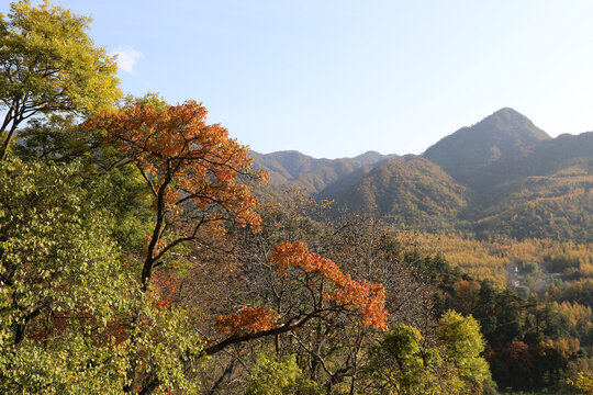 麦积山风景