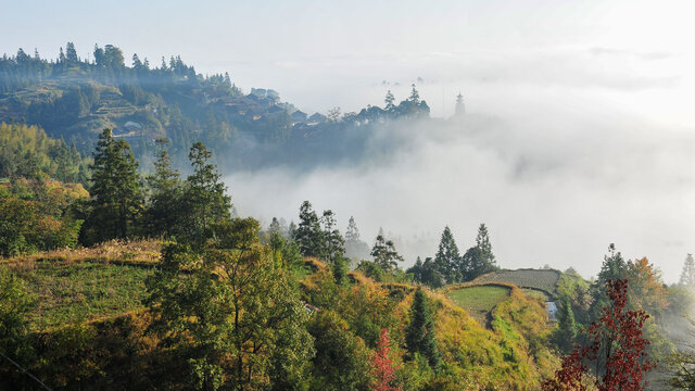 乡村云海景观