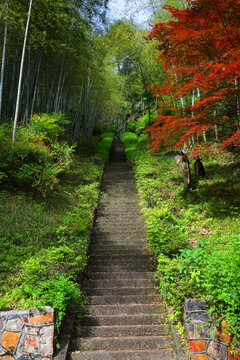 山间风光