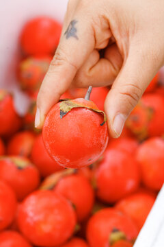 手里拿着蜜柿