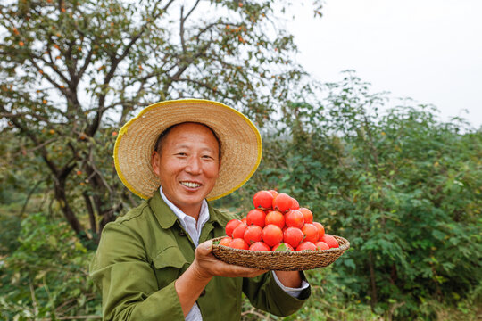 手里拿着珍珠蜜柿