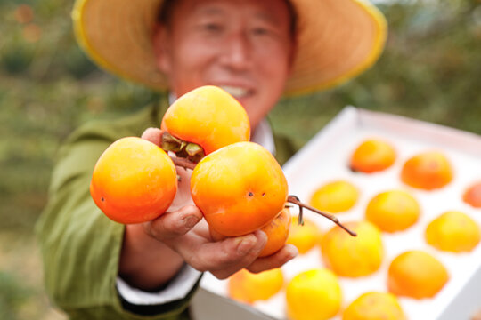 手里拿着奶油脆柿