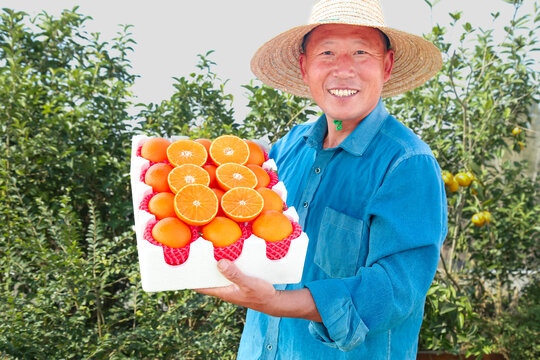 礼盒装着爱媛果冻橙