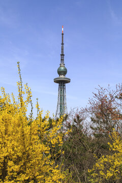 青岛中山公园