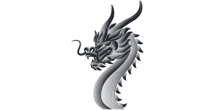 龍插畫設計