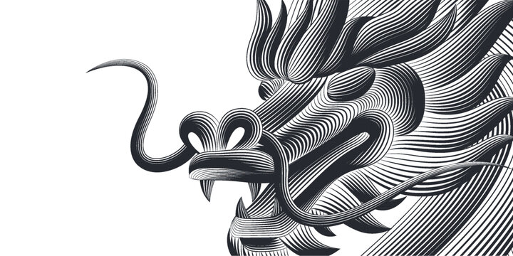 龍線描插圖