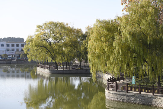 山东枣庄山亭区太清湖公园冬景