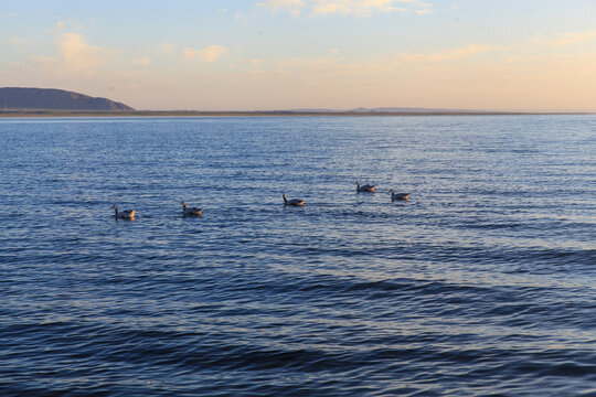 早晨的青海湖