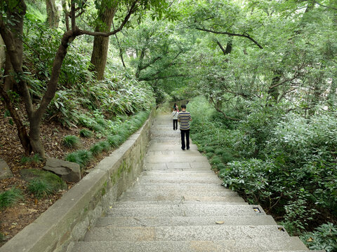 山间小路