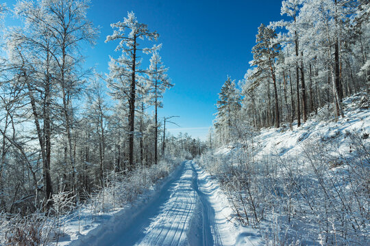 冬季雾凇雪路车辙