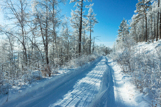 冬天森林雪景車轍道路