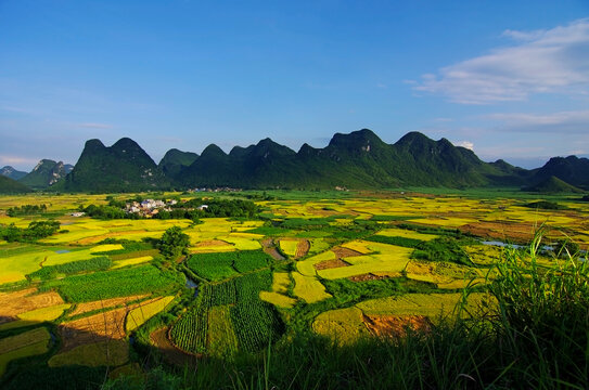 乡村田园风景