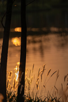 湖边黄昏日落