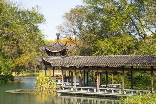 杭州西湖浴鹄湾风光