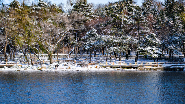 雪后的中国长春南湖公园森林雪景