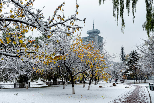 雪后的中国长春城区建筑景观