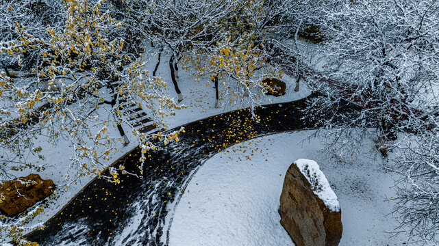 中国长春杏花村公园雪后风景