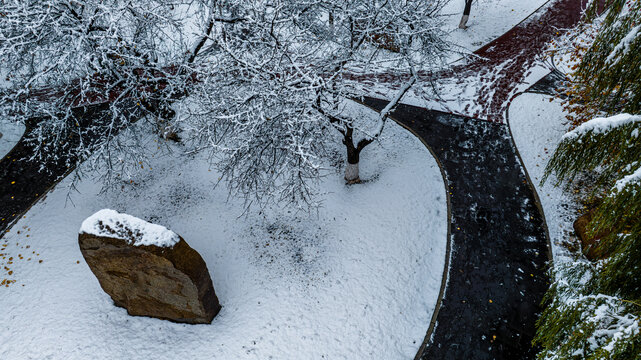 中国长春杏花村公园雪后风景