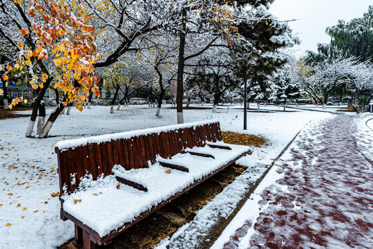 中国长春杏花村公园雪后风景