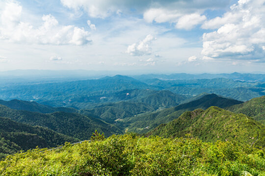 山景