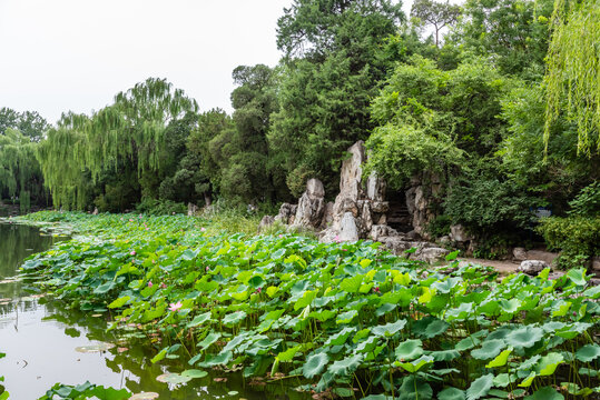 北京清华大学的水木清华荷花池