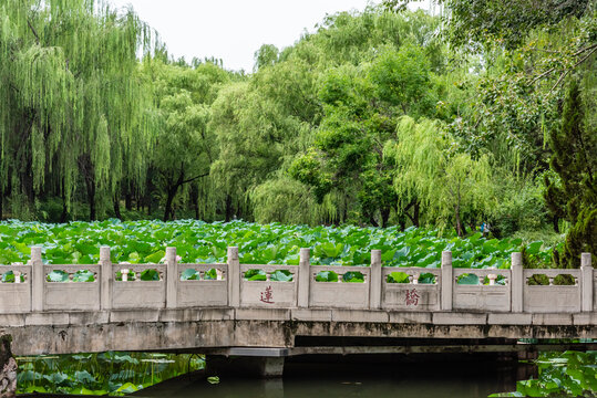 中国北京清华大学近春园莲桥