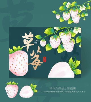 白草莓包裝插畫