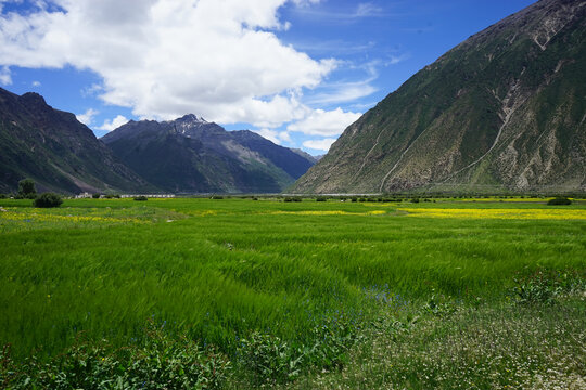 西藏美景