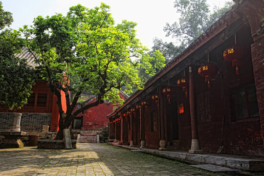 菩提寺内景