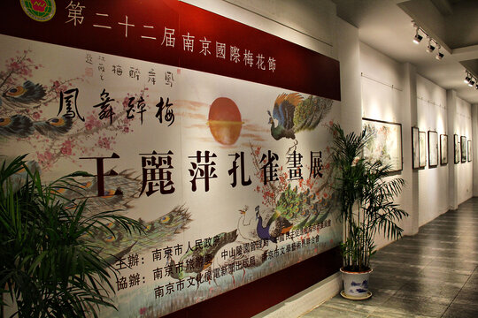 南京国际梅花节展览