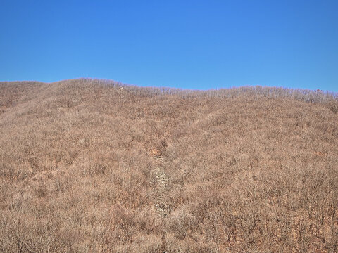 秋日大山