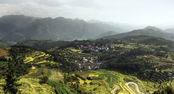 壮美茗岙梯田