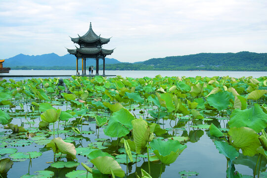 杭州西湖风光