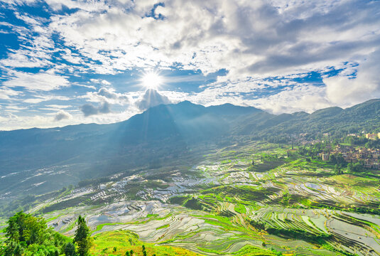 云南元阳县多依树梯田风景