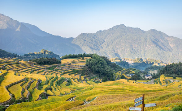 浙江省丽水市云和梯田的风景