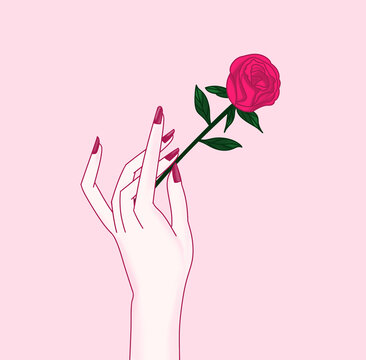 指尖的蔷薇
