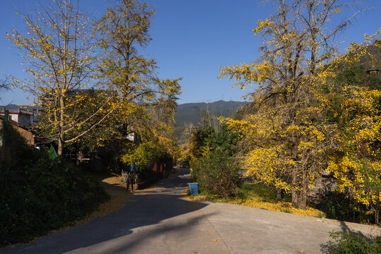 桂林漠川乡