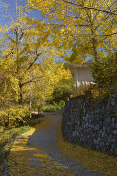 桂林漠川乡