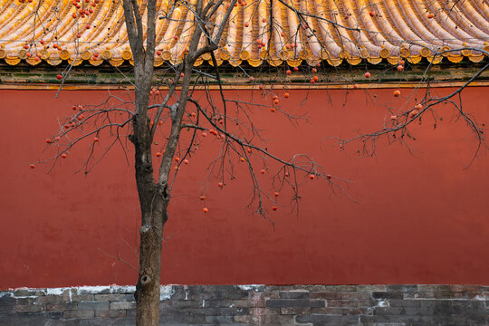 北京故宫博物院红墙