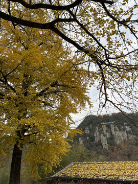 四明山丹山赤水景区