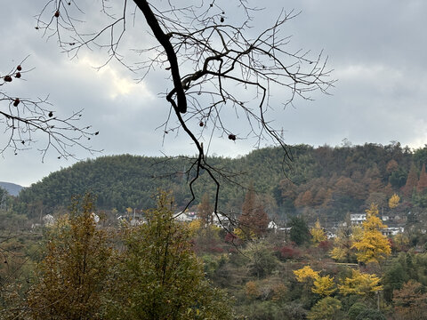 四明山秋色