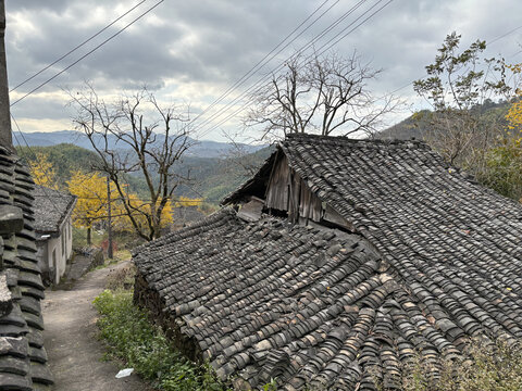 四明山古村落的秋天